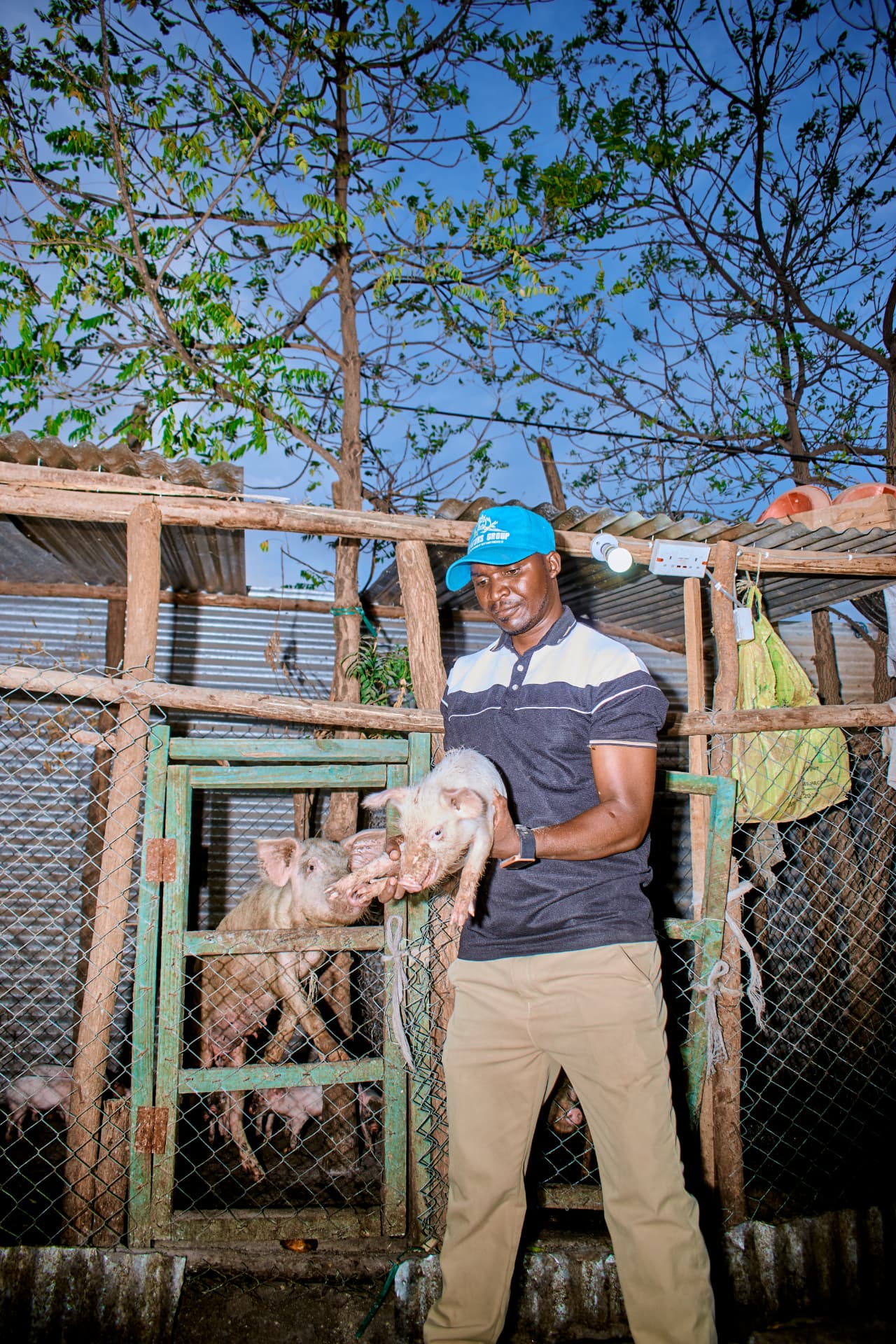 Celestin holding a piglet beside an adult pig