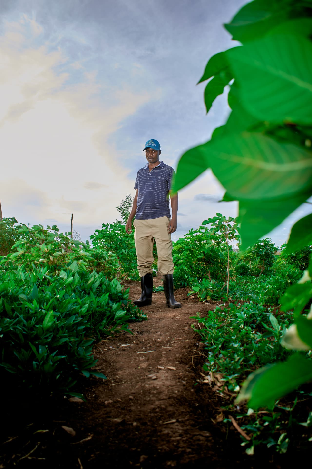 Celestin standing among crops on his farm in Kalobeyei