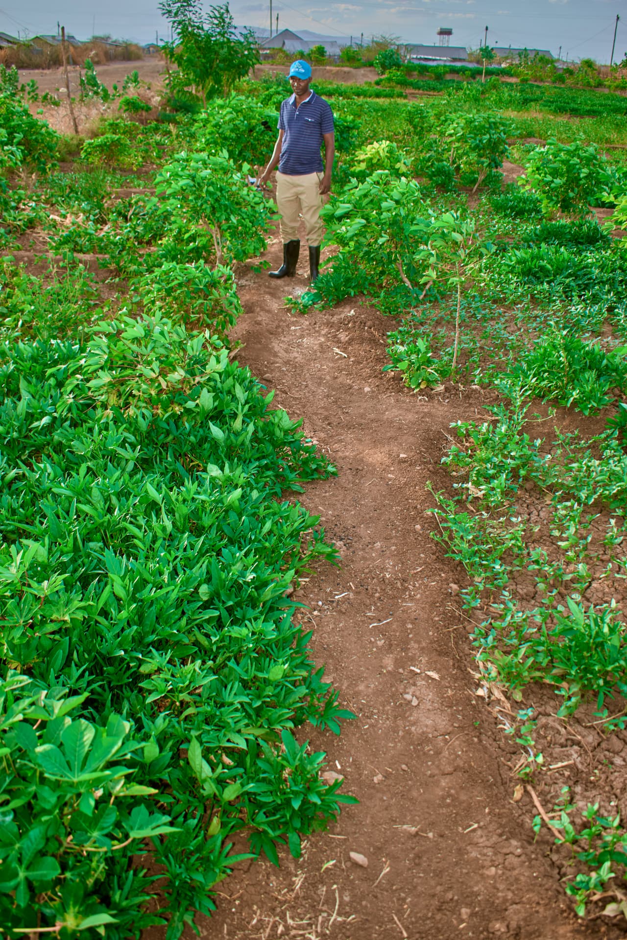 A path running through Celestin’s cultivated field