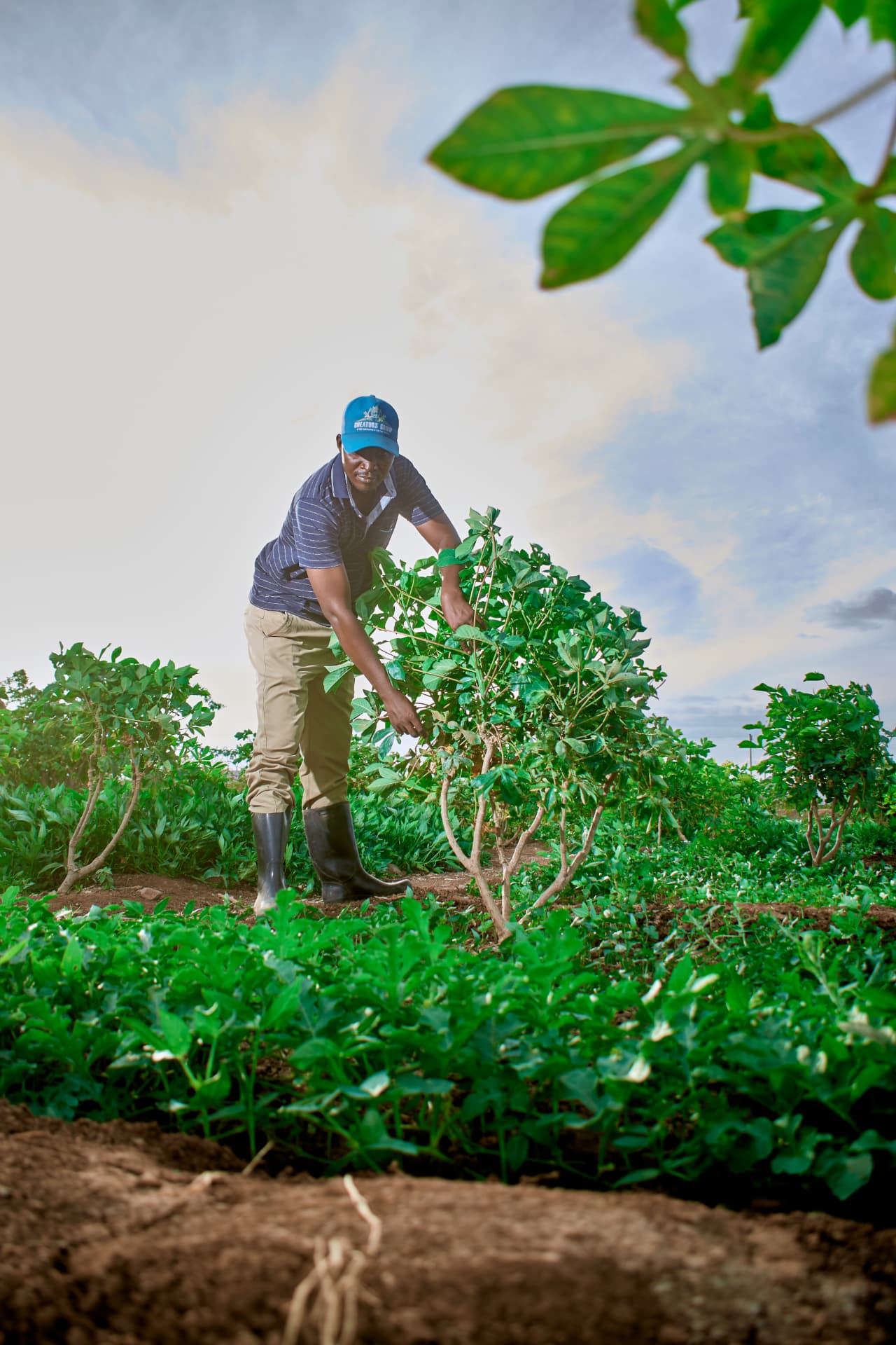 Celestin tending crops on his farm